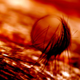 Illustration for article titled The Microscopic Beauty of Photographys Smallest Subjects